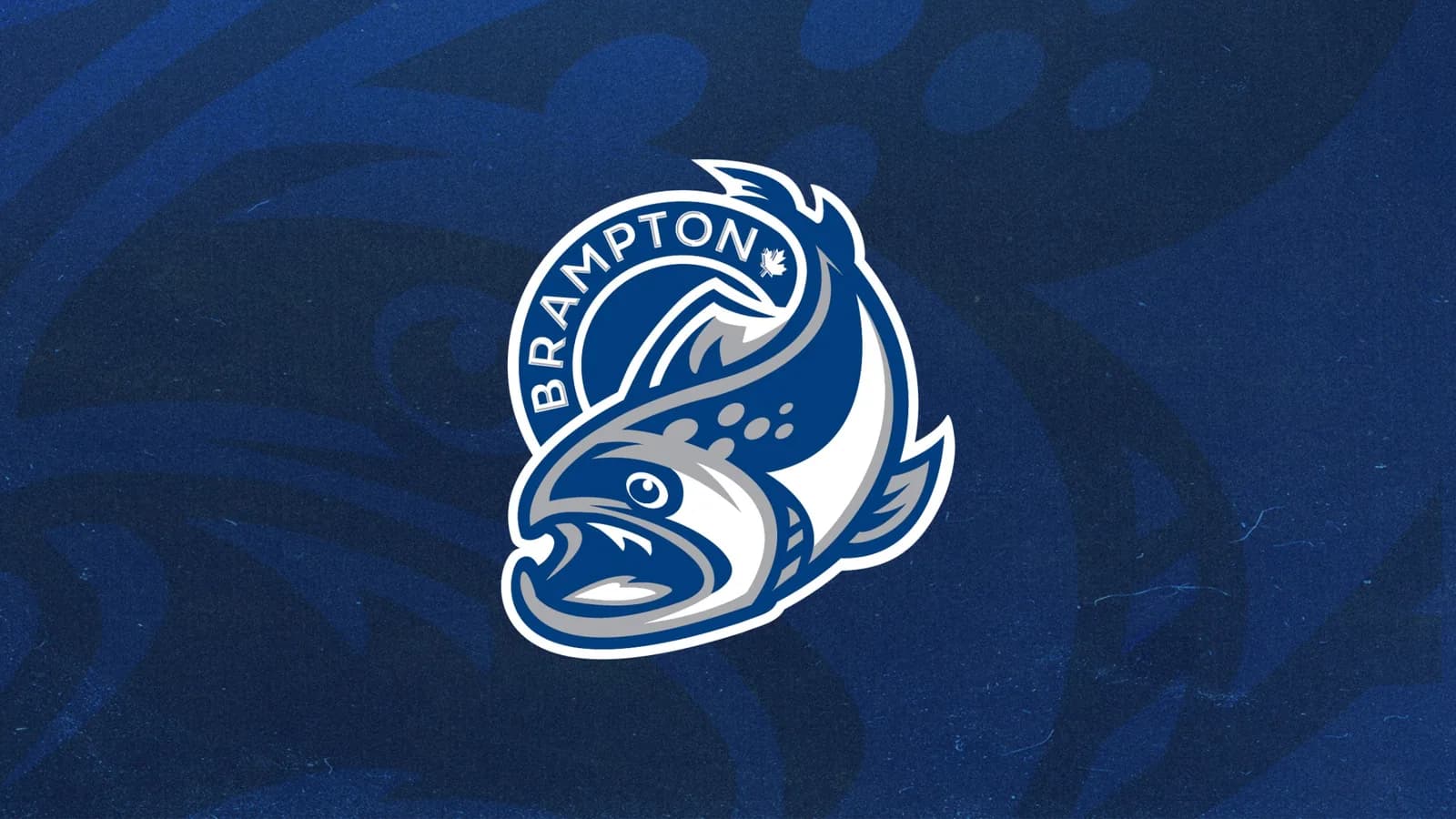 Brampton Steelheads vs. Brantford Bulldogs