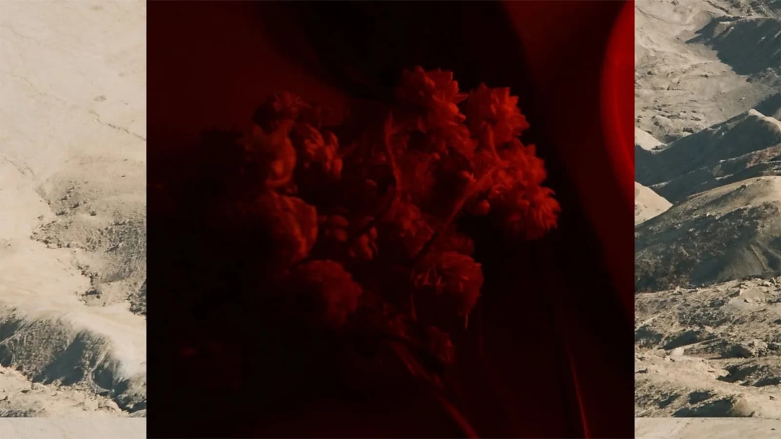 Brahms X Radiohead: with the NAC Orchestra