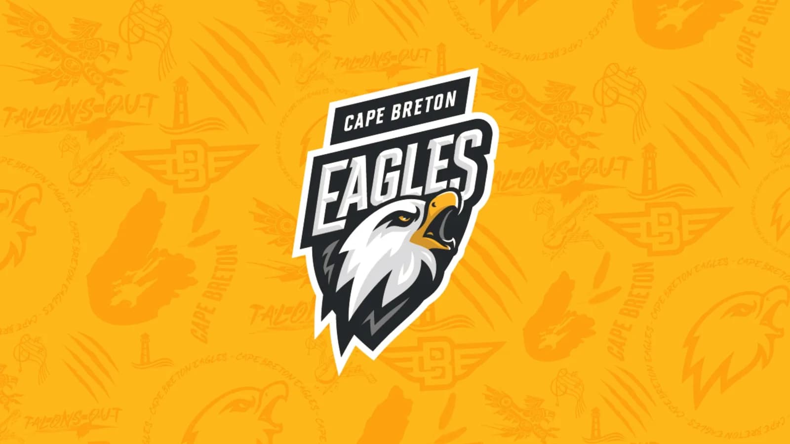 Cape Breton Eagles vs. Newfoundland Regiment
