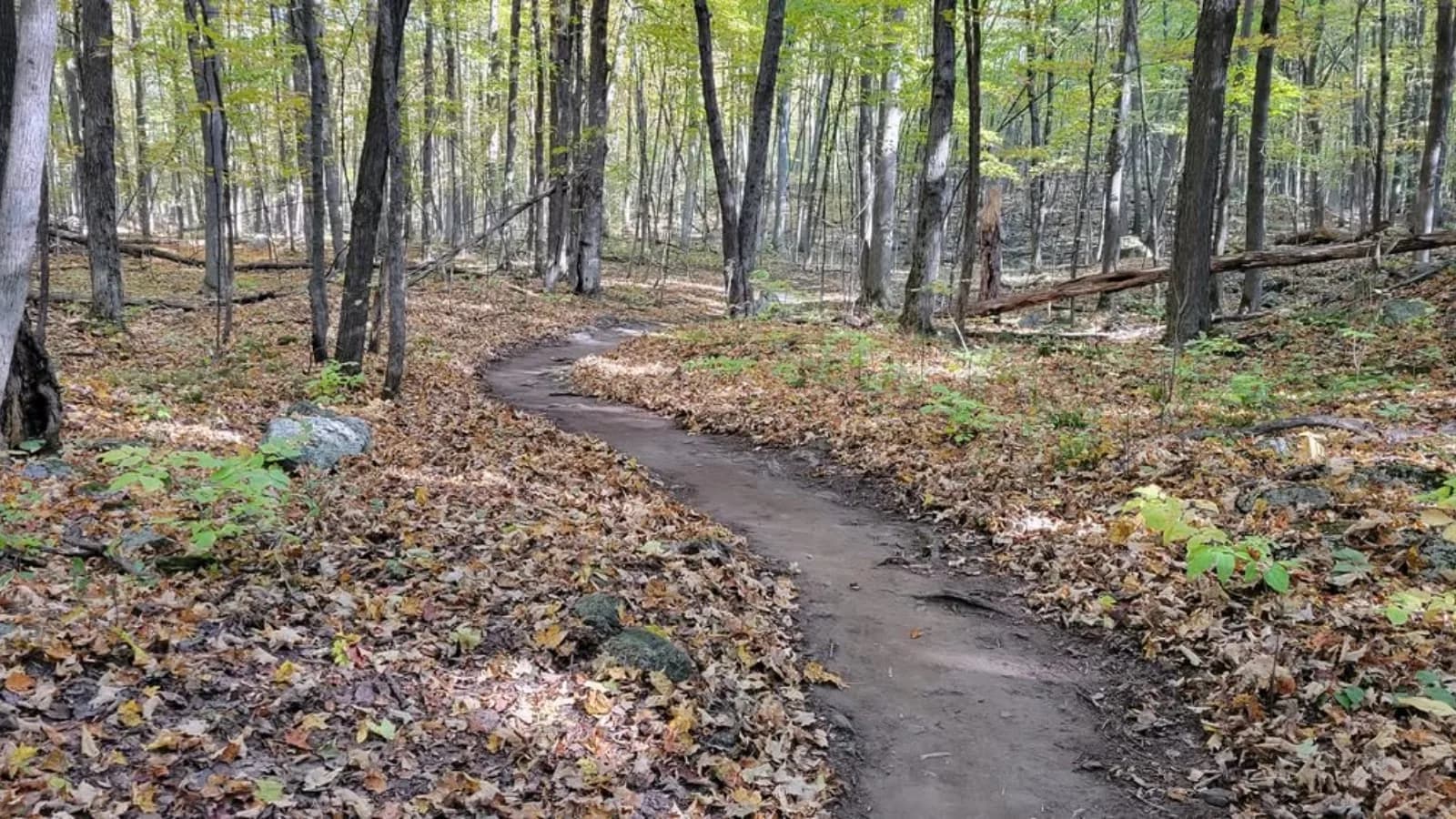 Vélo de montagne (réseau AVMO)