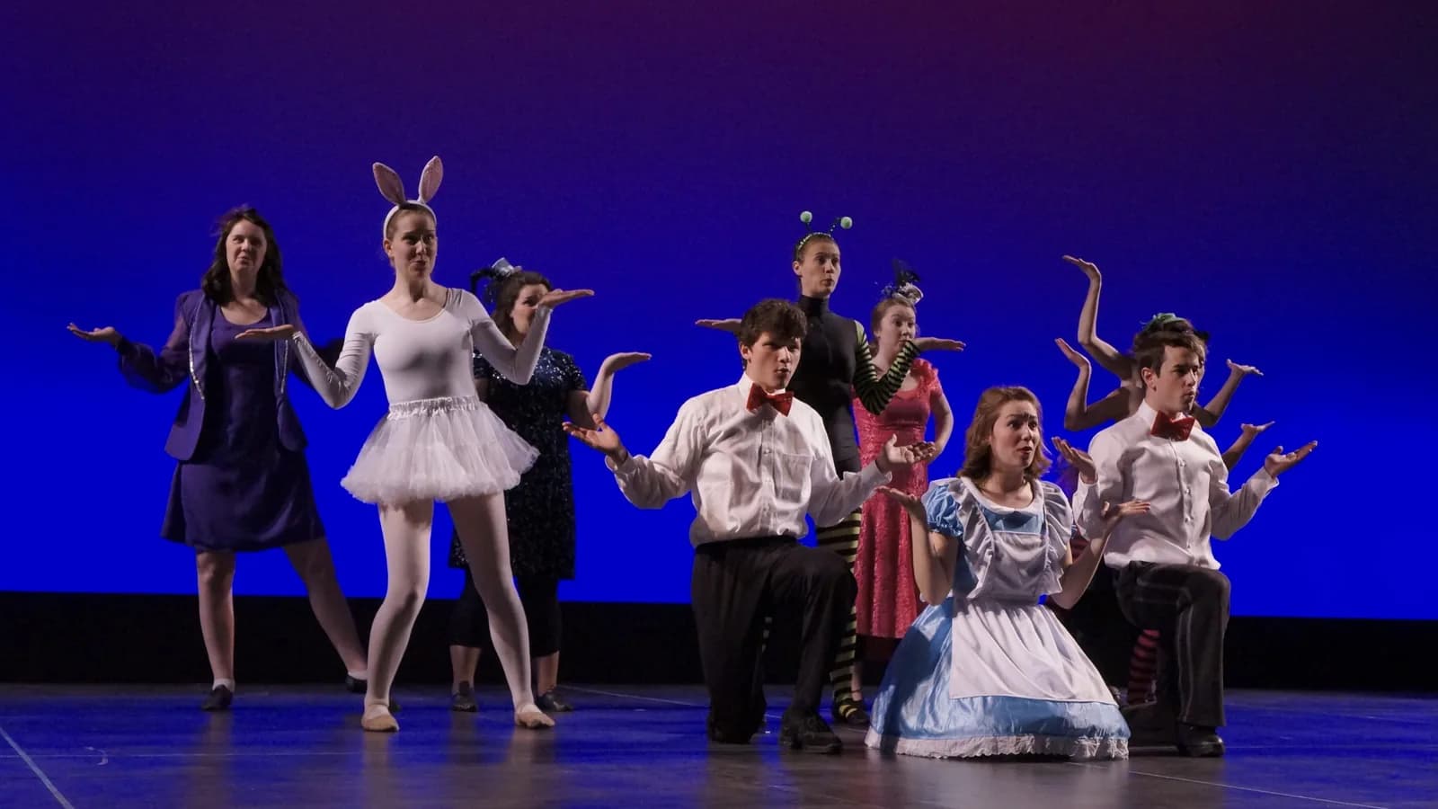 A Panto in Wonderland