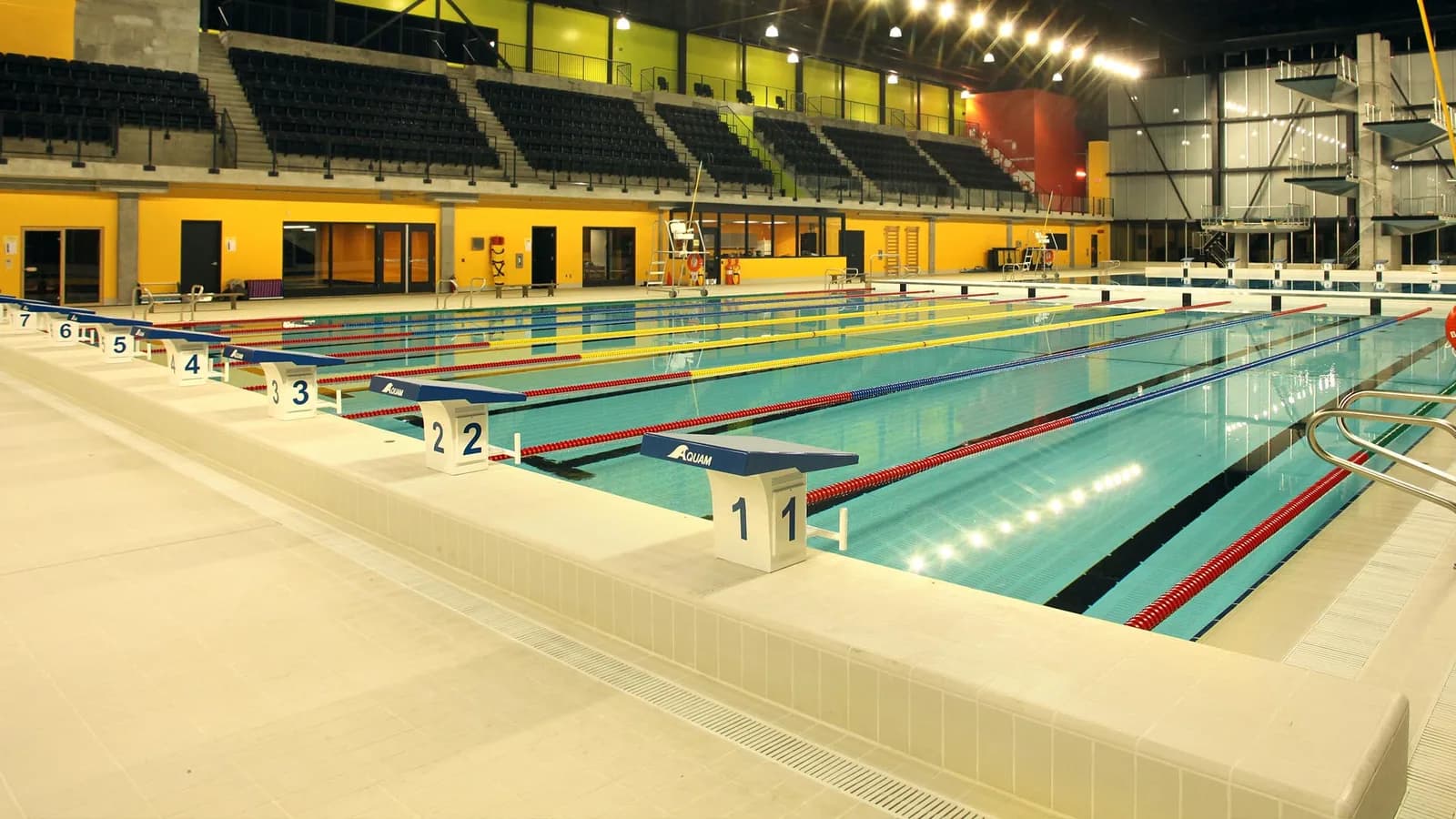 Natation (longueurs - 25m)